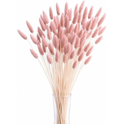 Sušený lagurus (králičí ocásek) starorůžový 90g-95g