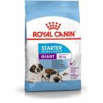 Royal Canin Giant Starter