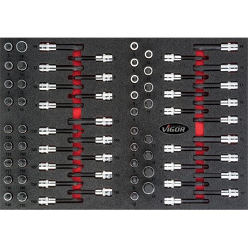 VIGOR V4753