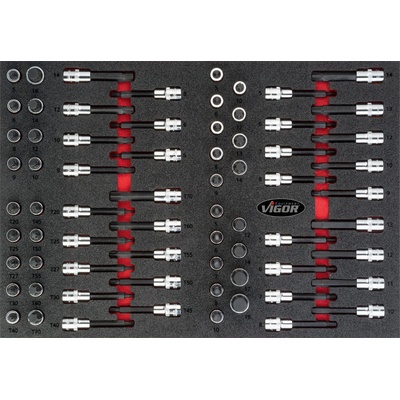 VIGOR V4753
