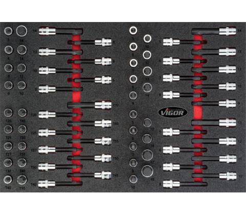 VIGOR V4753