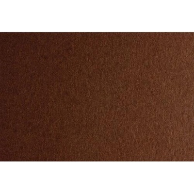 Fabriano Картон Colore, 50 x 70 cm, 200 g/m2, № 226, кафяв (42303226/2_MARRONE)