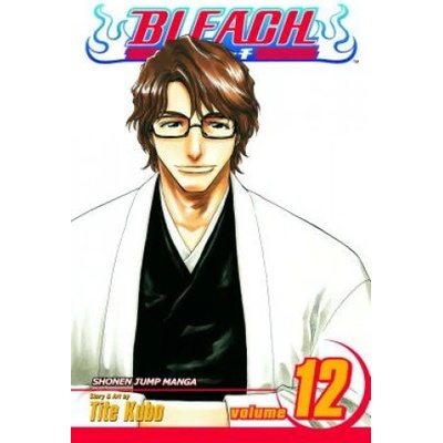 Bleach 12