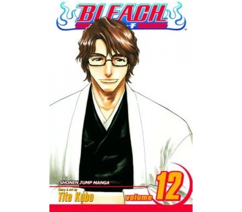 Bleach 12