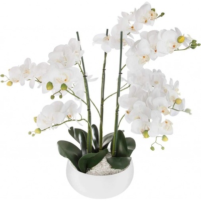 Atmosphera Umělá rostlina, umělá orchidej, bílý květináč, 65 cm