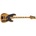 Schecter 2848 Model-T Sesson ANS