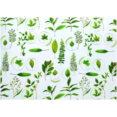 Baliaci papier Botanica