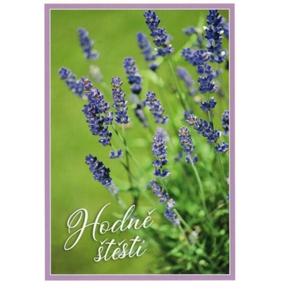 Pohlednice Hodně štěstí - levandule
