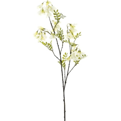 Trýzel (Erysimum) krémová V124 cm