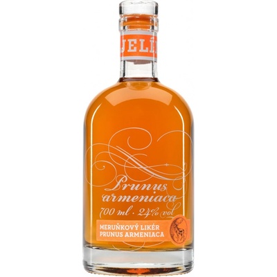 R.JELÍNEK Meruňkový likér 24% 0,7 l (holá láhev)