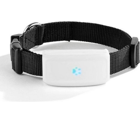 Bentech A700 GPS