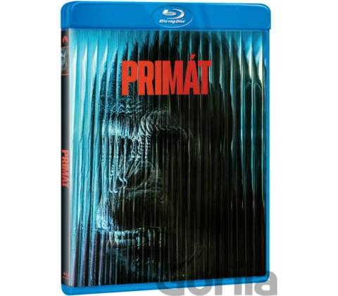 Primát BD