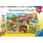 Ravensburger - Puzzle 3x49 A Day with Horses - 40 - 99 piese