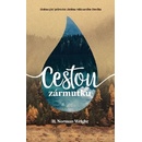Norman Wright: Cestou zármutku