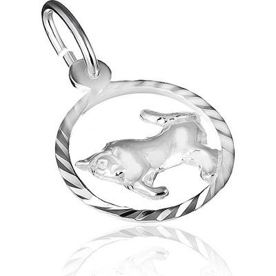 Šperky eshop Přívěsek ze stříbra 925 lesklý kruh a znamení Býk X30.08