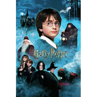 Plakát, Obraz - Harry Potter - Kámen mudrců, 80 × 120 cm