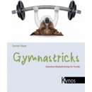 Gymnastricks