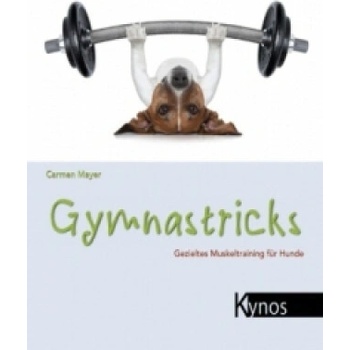 Gymnastricks