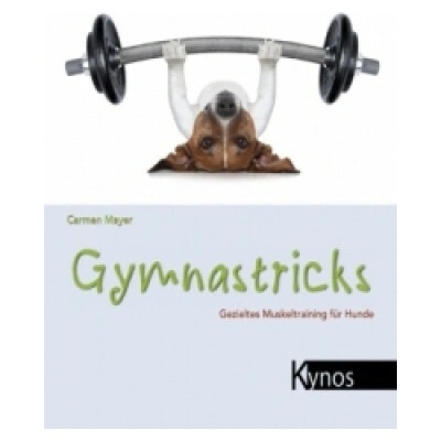 Gymnastricks