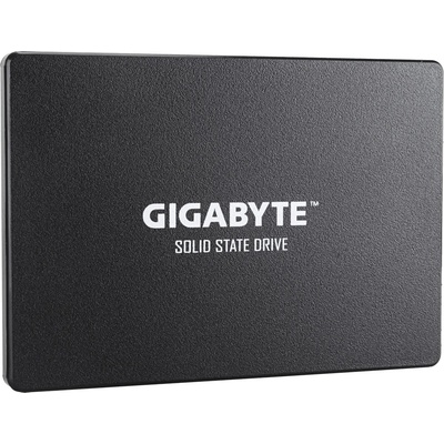Gigabyte 1TB, GP-GSTFS31100TNTD