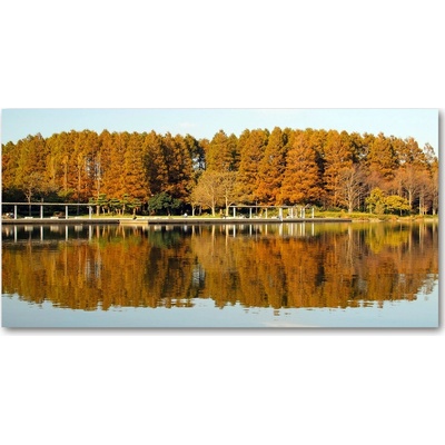 Foto obraz sklo tvrzené Les na jazerom 100x50 cm