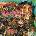 Forward To Termination CD