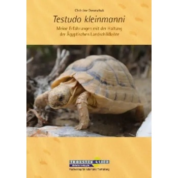 Image 1 of Testudo kleinmanni