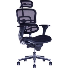 Office Pro Sirius