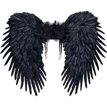 Widmann Čierne krídla páperové 80x60 cm