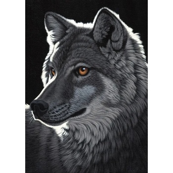 Image 1 of Grafika - Puzzle Schimmel: Night Wolf - 1 000 piese
