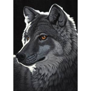 Grafika Art Puzzle - Puzzle Schimmel: Night Wolf - 1 000 piese