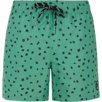Protest Бански гащета Protest Juan swimming shorts - Green (Cactus Green)