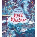 Look Inside Wild Weather