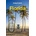 Florida - Lonely Planet