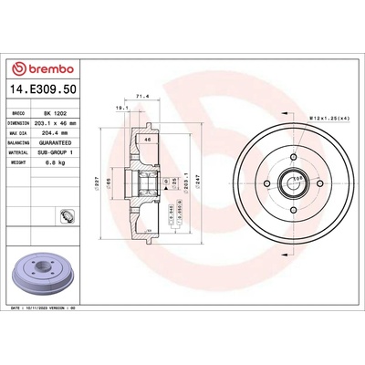 BREMBO Brzdový bubon 14.E309.50