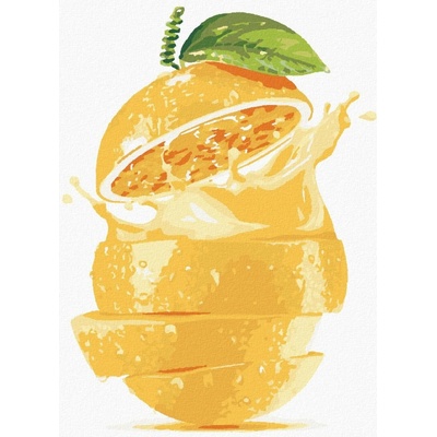 ZUTY Malování podle čísel CITRON 80 x 100 cm Rámování bez rámu a bez vypnutí plátna