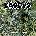 Exodus - Another Lesson In Violence (Reissue) (CD) (5051099748224)