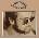 Elton John - Honky Chateau (50th Anniversary) (180g) (Limited Edition) (Gold Coloured) (LP) (0602445962204)