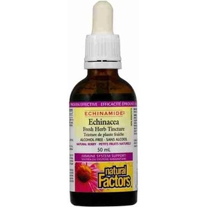 Natural Factors Простуда и грип Echinamide® - Тинктура с ехинацея, 50 ml (без алкохол) Natural Factors (4728 NF)