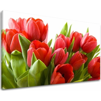 Obraz na stenu KVETY TULIPÁNY - 30x40