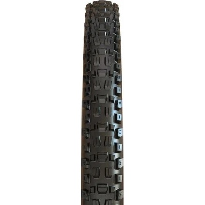 MAXXIS ASSEGAI 29 x 2,50 TR WT 2ply DH CASING BIKEPARK s drôtom
