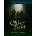 Dramascripts: Oliver Twist