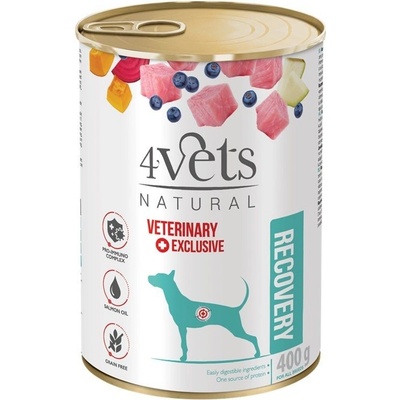 4Vets Natural Veterinary Exclusive Recovery 400 g