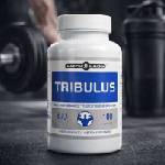 CUPID LABS Капсули за мъжка потентност Tribulus 100 капсули