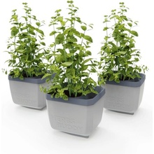 Gusta Garden GG-120F11