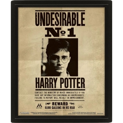 Harry Potter : 3D obraz Sirius 3D Obraz (s rámem)