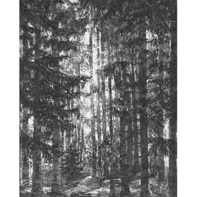 Komar Vliesová fototapeta Lustres Lapland 200 x 250 cm