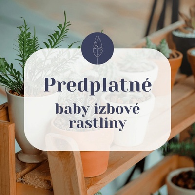 Predplatné - baby izbové rastliny - 3 mesiace