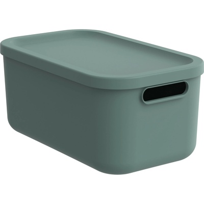 Rotho Úložný box, rovný s vekom, 12 l matne zelený Albu light 40 x 24 x 18 cm