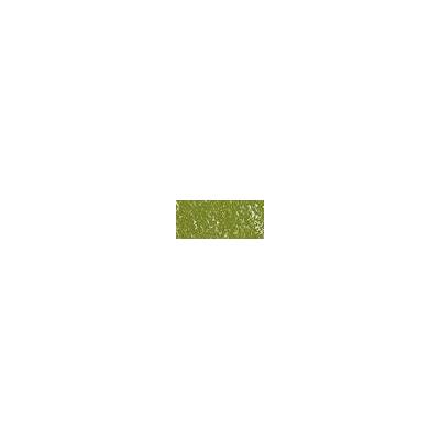 Sennelier suchý pastel 169 moss grey green